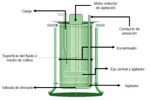 La innovación llega con los biorreactores, revolucionando la producción industrial con su flexibilidad y esterilidad.