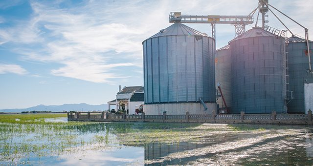 En Qué Consiste el Tratamiento Biológico de Aguas Residuales: Guía Técnica