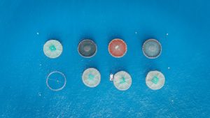 Vista detallada de los componentes principales del Sistema Clear Comfort: reactor de oxidación, filtros de alta eficiencia y sistemas de monitoreo.