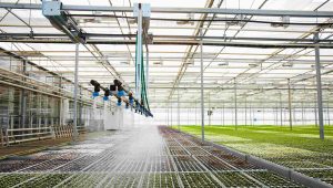 Captación de agua de lluvia: ¿Cómo realizar una recuperación pluvial efectiva?