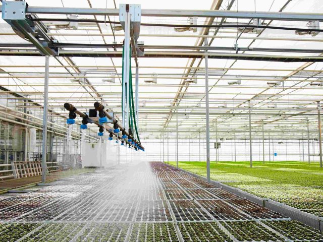 Captación de agua de lluvia: ¿Cómo realizar una recuperación pluvial efectiva?